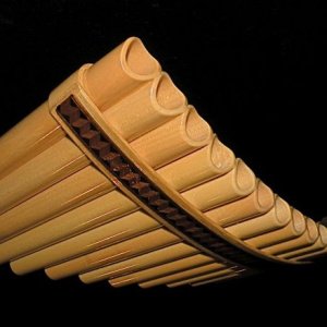 Concert FPC-22C